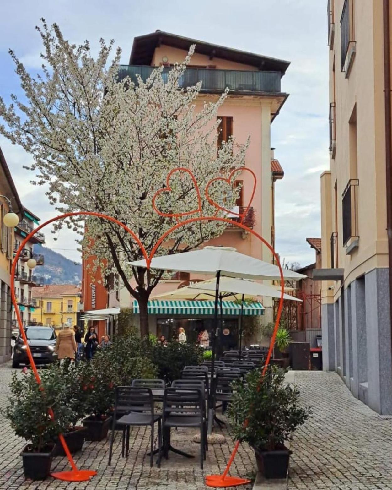 La Terrazza Apartment Verbania Exterior photo